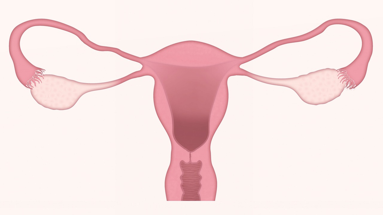 Przebieg cyklu menstruacyjnego