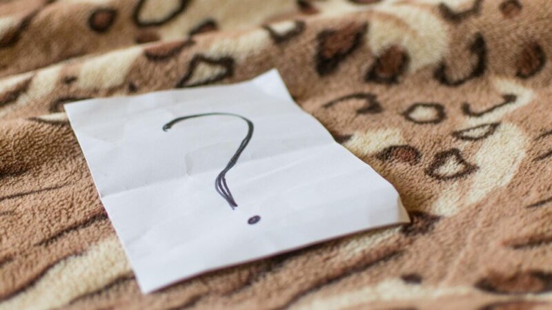 Odmiana nazwisk – zasady, wyjątki, przykłady