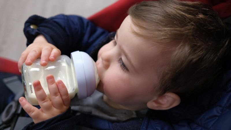 Podgrzewacz do butelek ranking: Jak wybrać najlepszy model dla Twojego dziecka