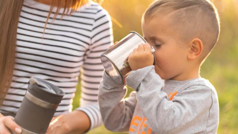 Wybór najlepszego termosu na wodę do mleka modyfikowanego dla noworodka