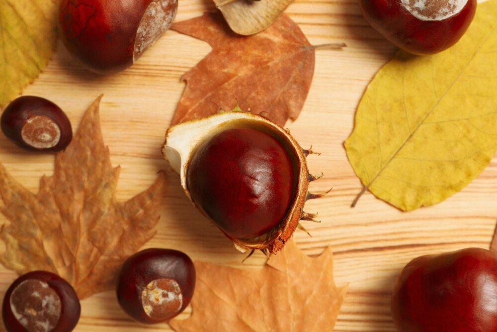 Co można zrobić z kasztanów – jesienne prace plastyczne