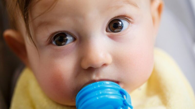 Najlepszy probiotyk dla niemowlaka – na co zwrócić uwagę?