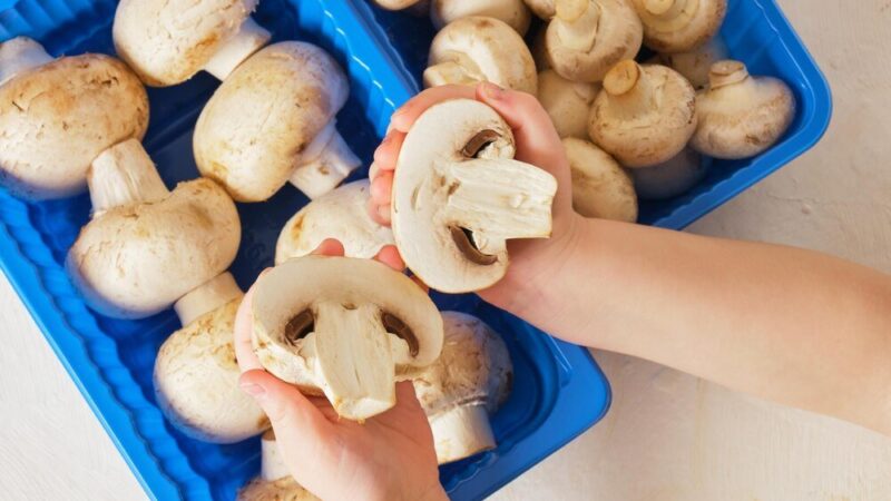 Od kiedy dziecko może jeść pieczarki – zalecenia specjalistów