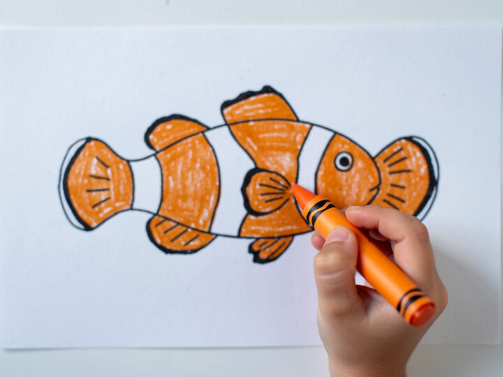 Jak narysować rybkę Nemo – prosty poradnik krok po kroku